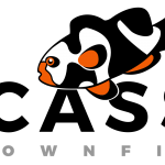 Picasso Clownfish