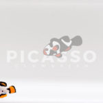 Helmet Picasso Clownfish