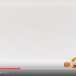 Premium Picasso Clownfish