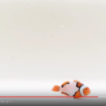 Premium Picasso Clownfish